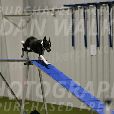 Streak-Marilyn-Sackett-06533