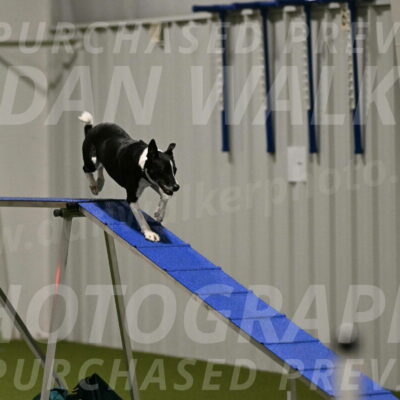 Streak-Marilyn-Sackett-06534