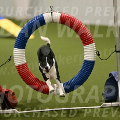 Streak-Marilyn-Sackett-06537