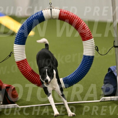 Streak-Marilyn-Sackett-06538