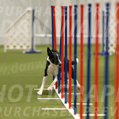 Streak-Marilyn-Sackett-06539