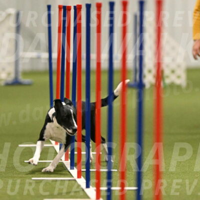 Streak-Marilyn-Sackett-06540