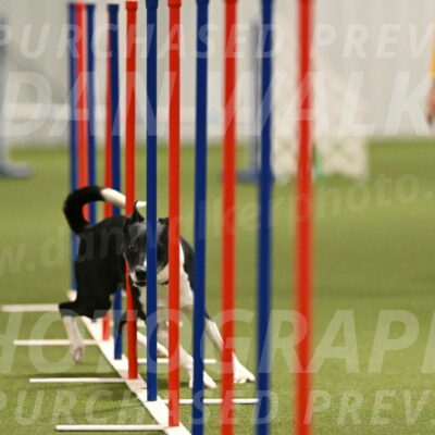 Streak-Marilyn-Sackett-06541