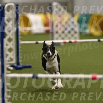 Streak-Marilyn-Sackett-06547