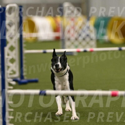 Streak-Marilyn-Sackett-06548