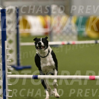 Streak-Marilyn-Sackett-06550