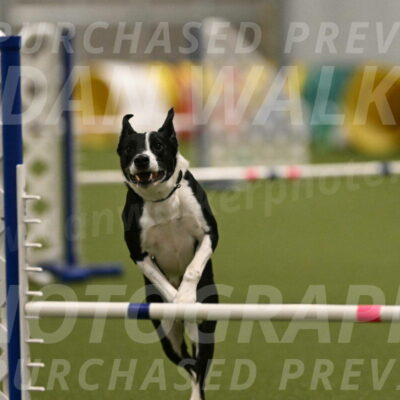 Streak-Marilyn-Sackett-06551