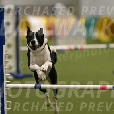 Streak-Marilyn-Sackett-06552