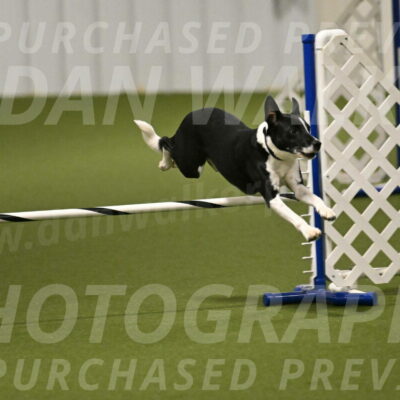 Streak-Marilyn-Sackett-06557