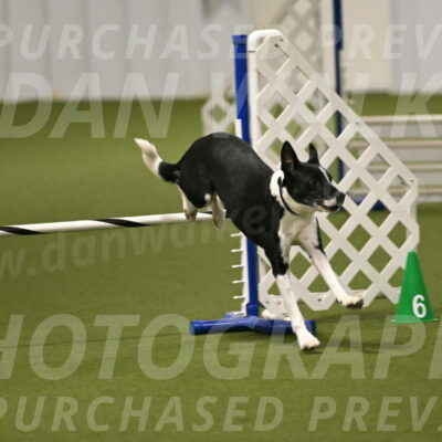 Streak-Marilyn-Sackett-06558