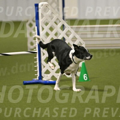 Streak-Marilyn-Sackett-06559