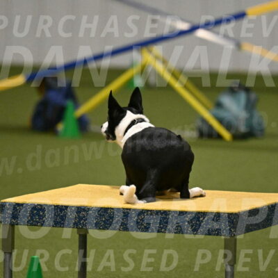 Streak-Marilyn-Sackett-06560