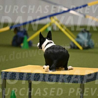 Streak-Marilyn-Sackett-06561