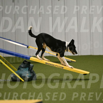 Streak-Marilyn-Sackett-06562