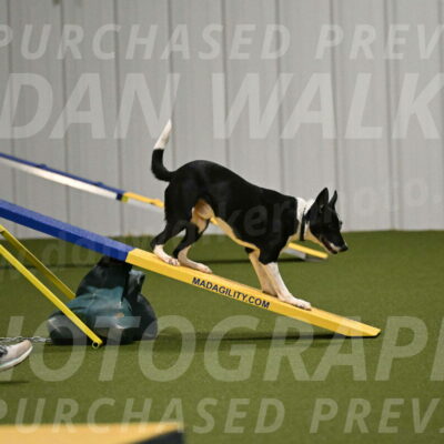 Streak-Marilyn-Sackett-06563