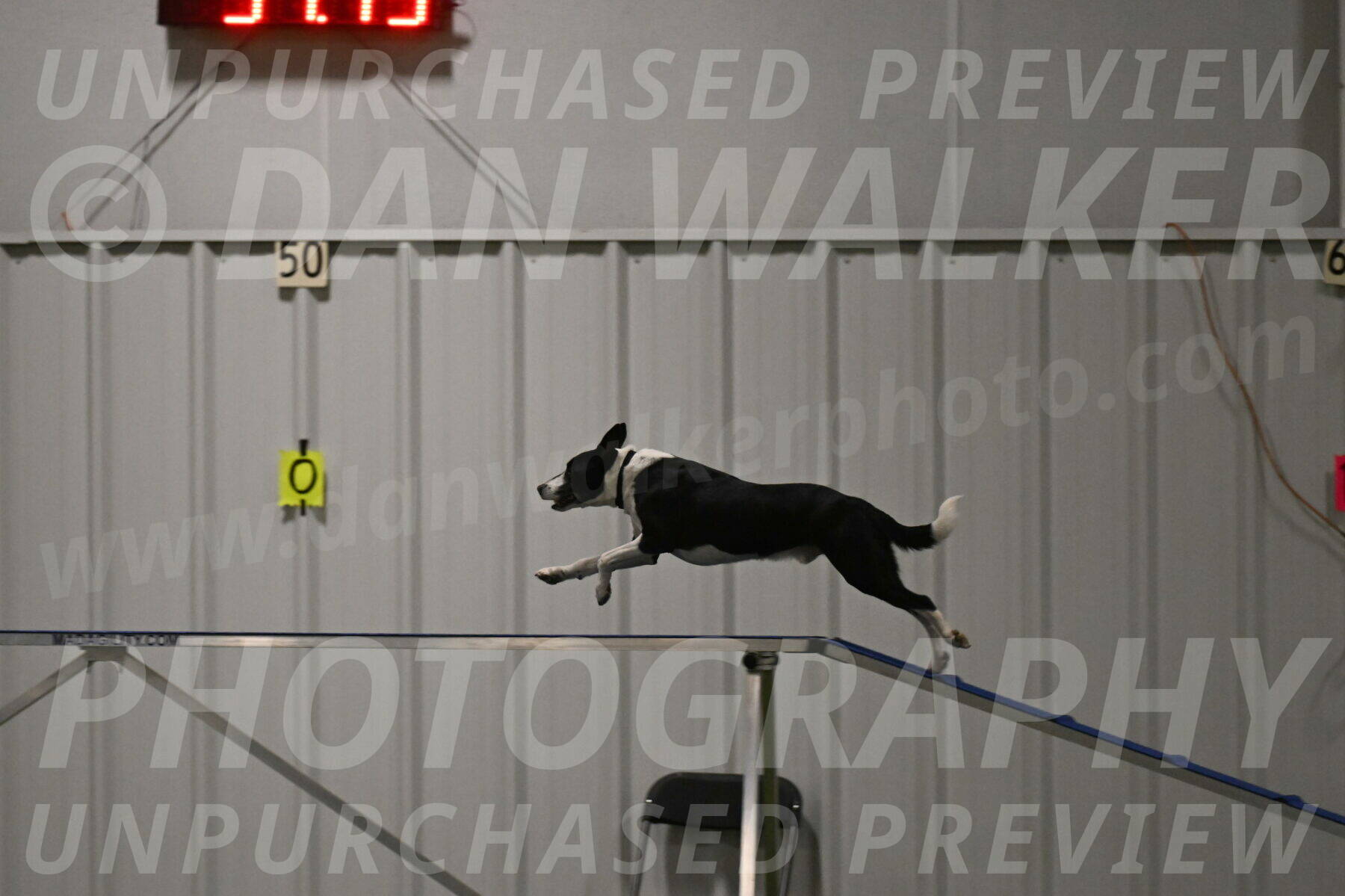 Streak-Marilyn-Sackett-06565