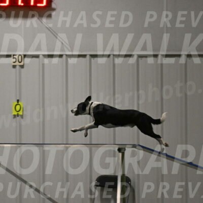 Streak-Marilyn-Sackett-06565