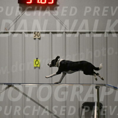 Streak-Marilyn-Sackett-06566