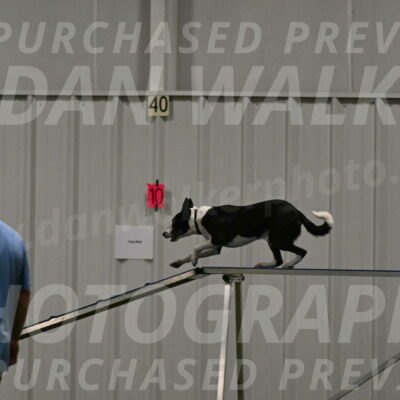 Streak-Marilyn-Sackett-06567