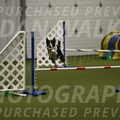 Streak-Marilyn-Sackett-06568