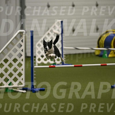 Streak-Marilyn-Sackett-06569