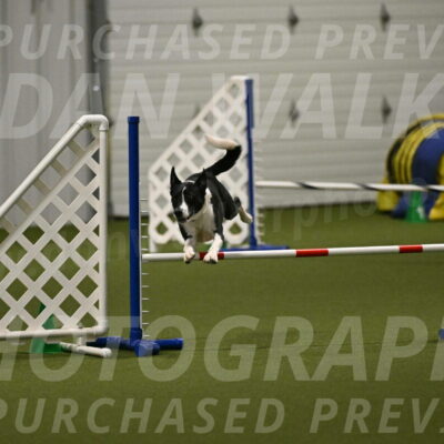 Streak-Marilyn-Sackett-06570