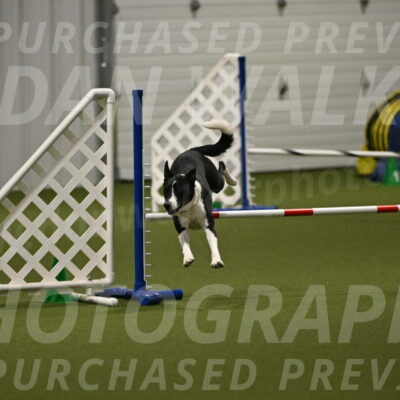 Streak-Marilyn-Sackett-06571