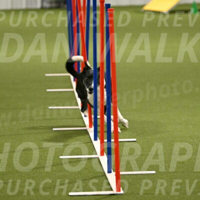 Streak-Marilyn-Sackett-06574