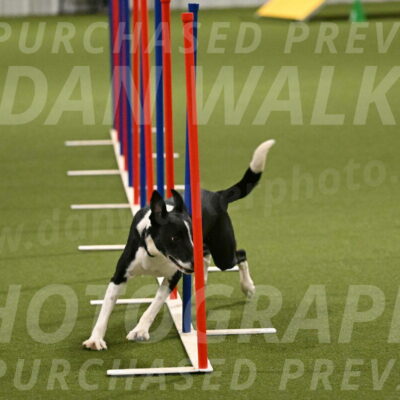 Streak-Marilyn-Sackett-06581