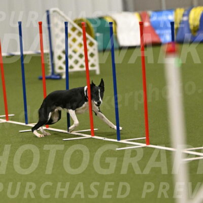 Streak-Marilyn-Sackett-06588