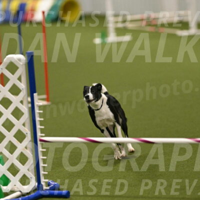 Streak-Marilyn-Sackett-06593