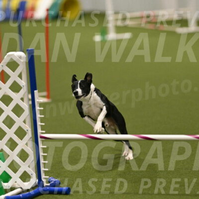 Streak-Marilyn-Sackett-06594