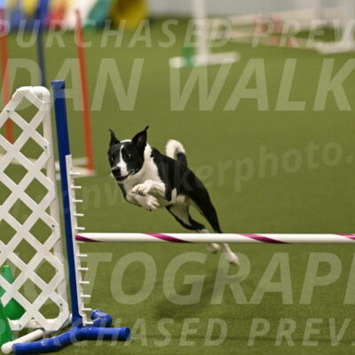 Streak-Marilyn-Sackett-06595