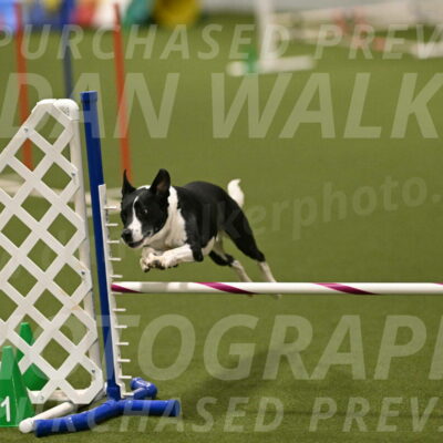 Streak-Marilyn-Sackett-06596