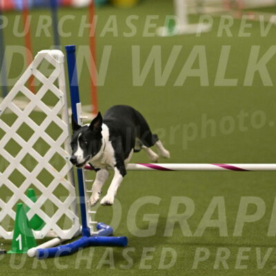 Streak-Marilyn-Sackett-06597