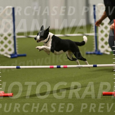 Streak-Marilyn-Sackett-06598