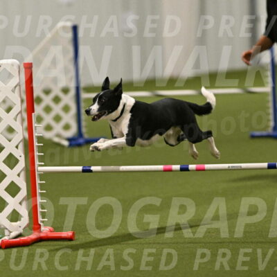 Streak-Marilyn-Sackett-06599