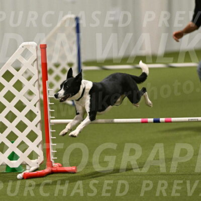 Streak-Marilyn-Sackett-06600