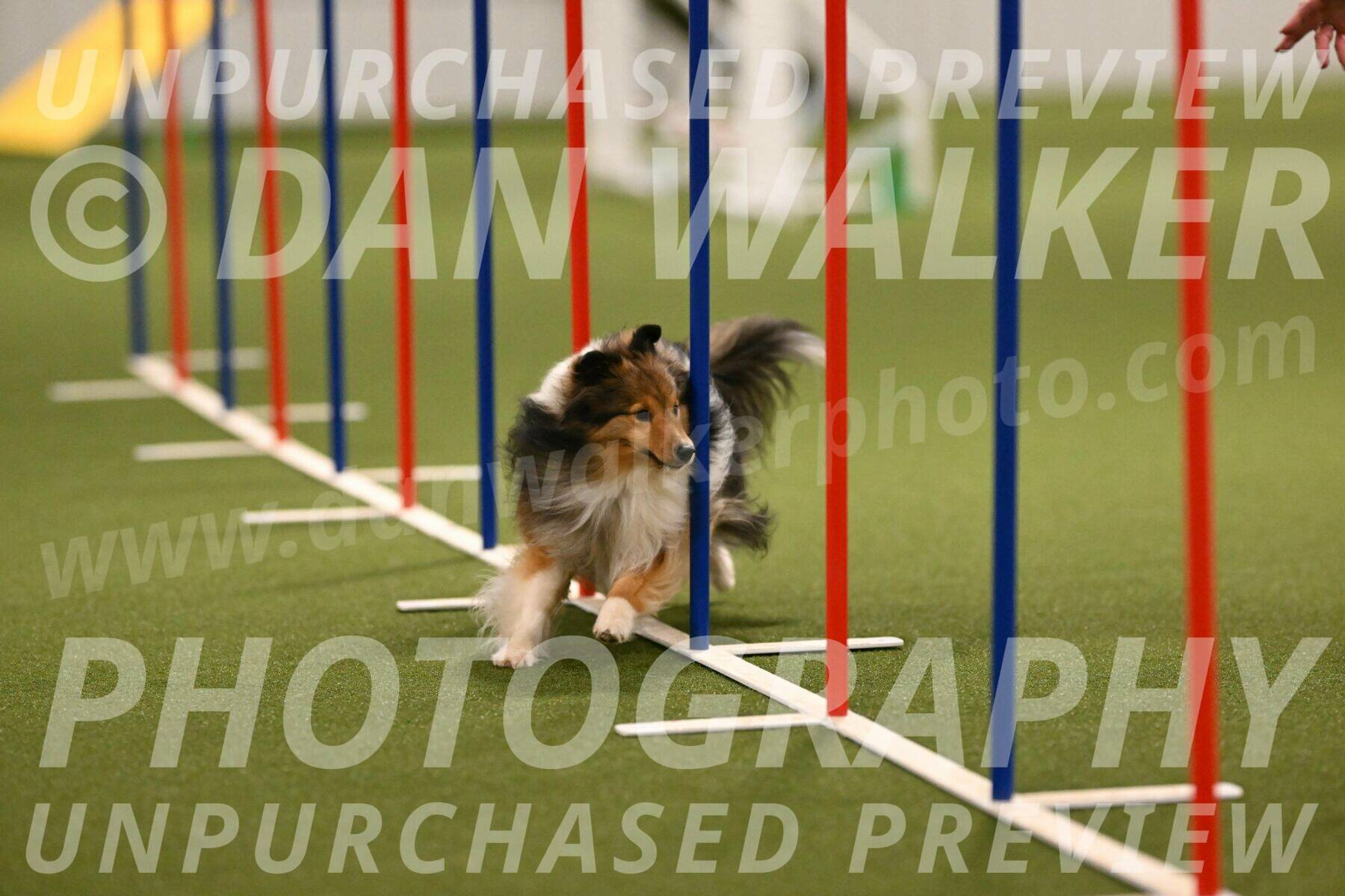 Strut-Melanie-Robison-08902