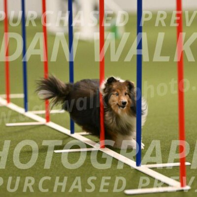 Strut-Melanie-Robison-08906