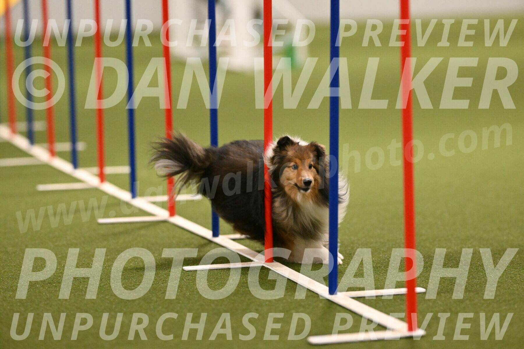 Strut-Melanie-Robison-08906