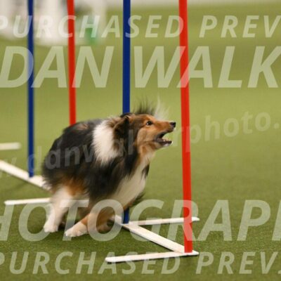 Strut-Melanie-Robison-08907