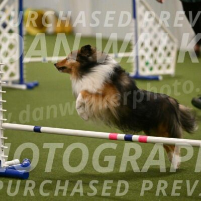 Strut-Melanie-Robison-08922