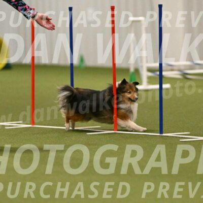 Strut-Melanie-Robison-08938