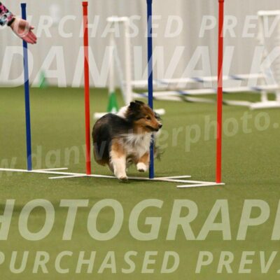 Strut-Melanie-Robison-08940