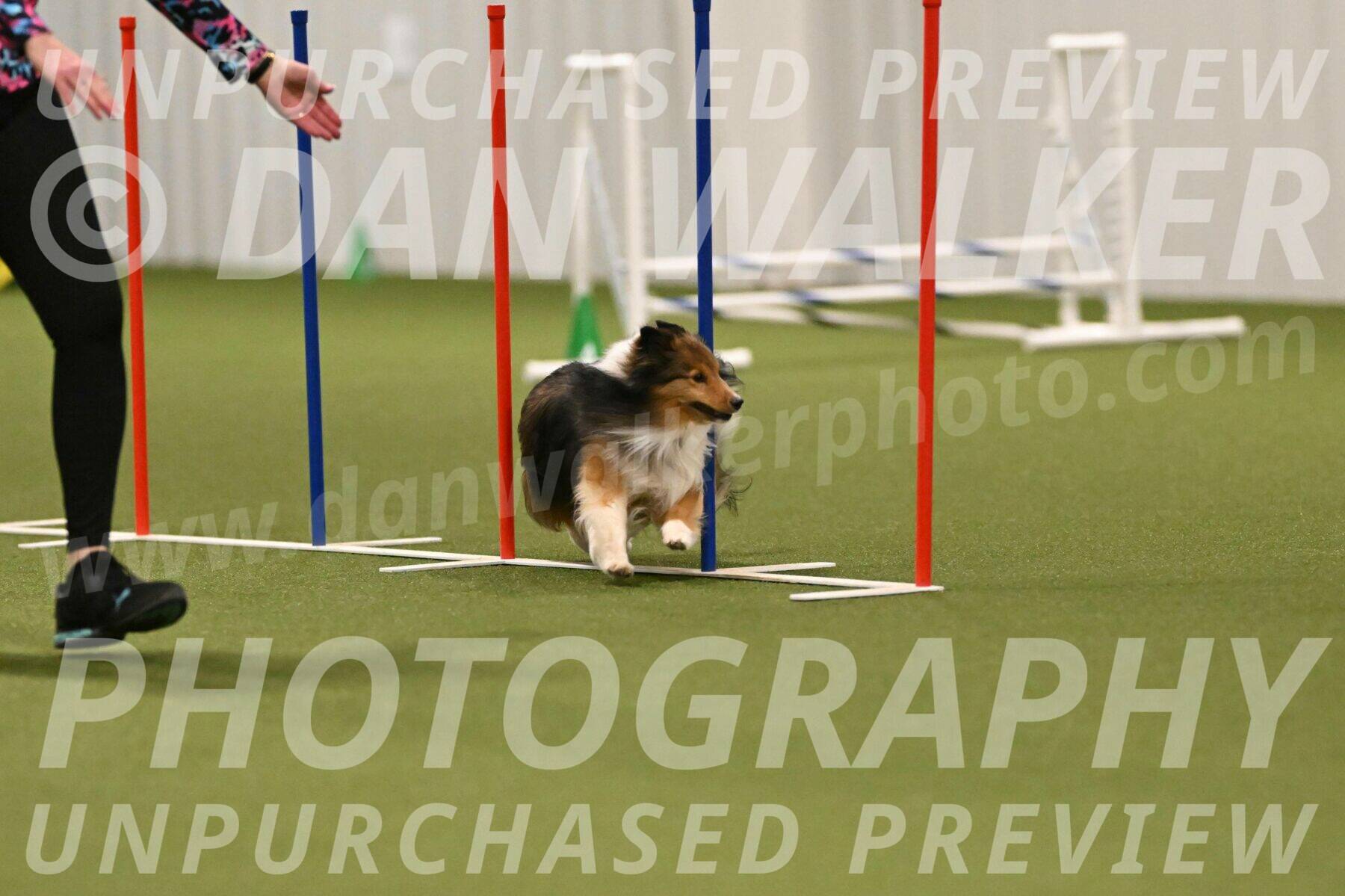 Strut-Melanie-Robison-08940