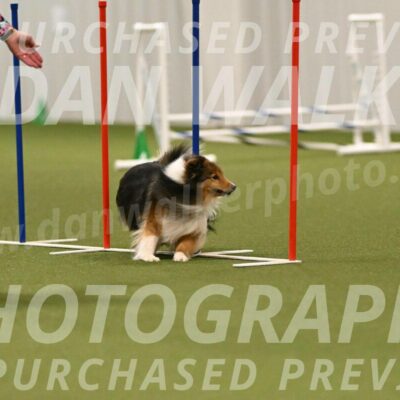 Strut-Melanie-Robison-08941