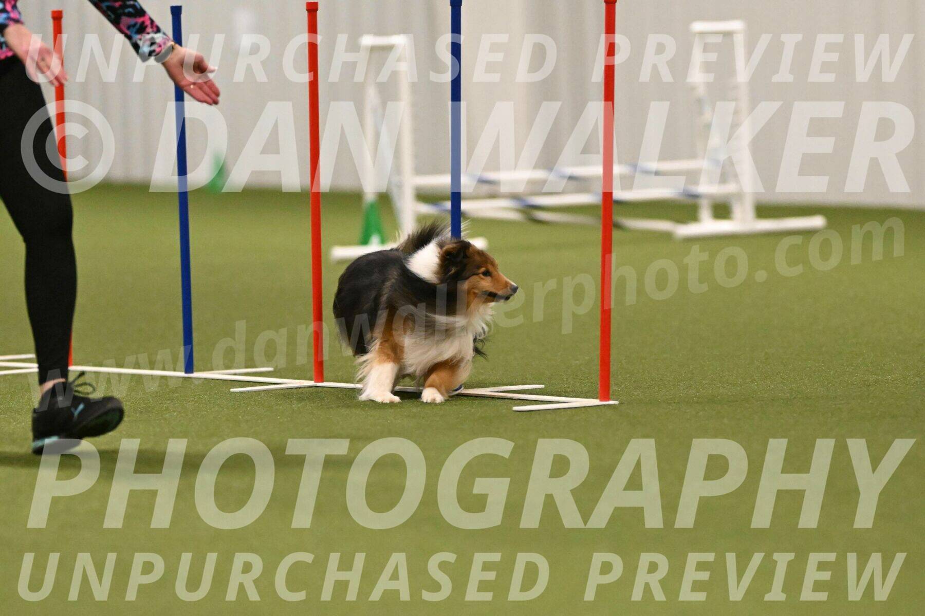 Strut-Melanie-Robison-08941