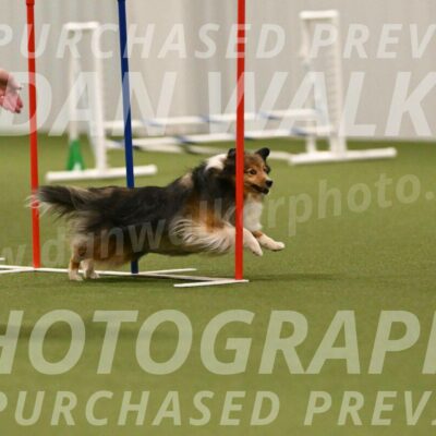 Strut-Melanie-Robison-08943