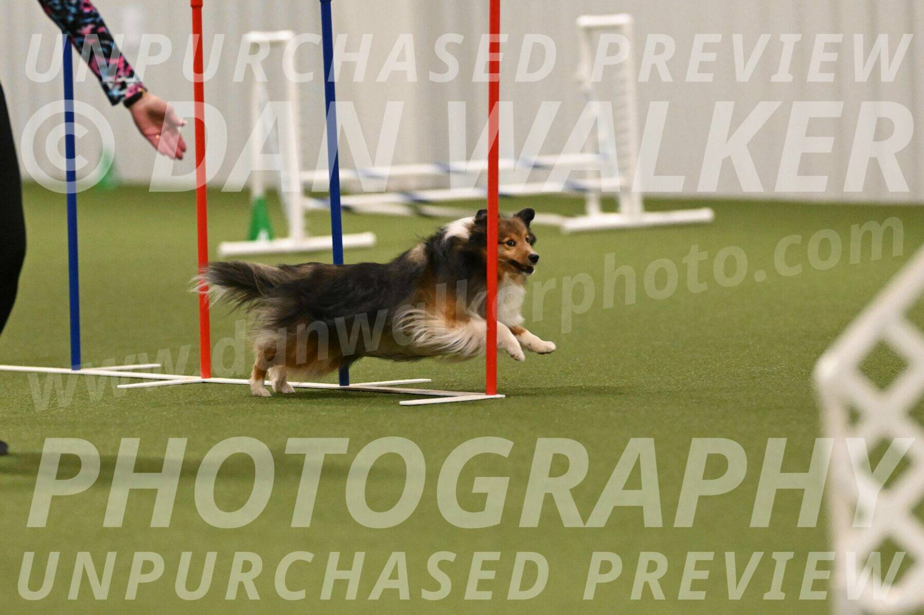 Strut-Melanie-Robison-08943